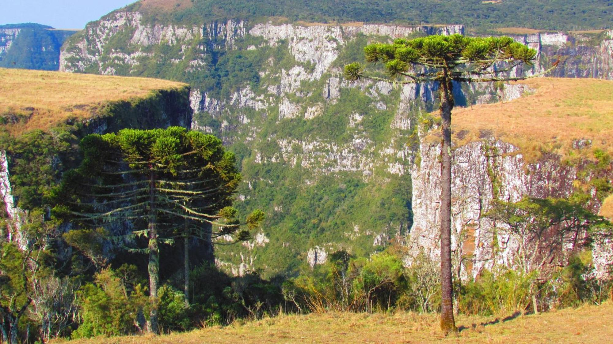 Fazenda Santa Rita Turismo Rural Bom Jardim da Serra Bagian luar foto